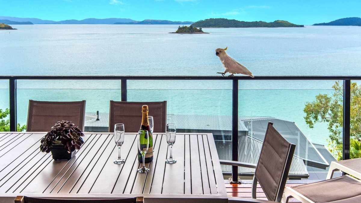 Hamilton Island Apartment | Shorelines 31 Hamilton Island - oceanviews, golf buggy and transfers