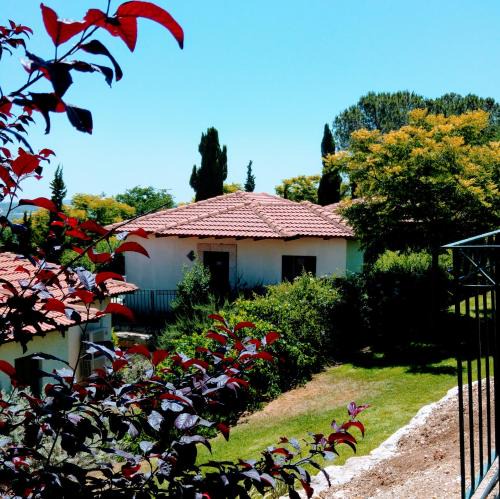Shoresh Cabin | Shoresh Green Hills