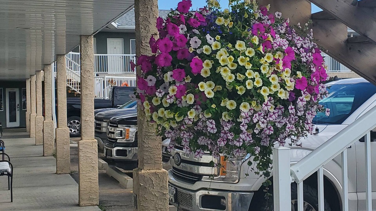 Wabamun Hotel | Shoreside Inn & Suites