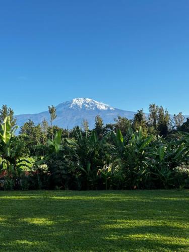 Moshi Hotel | Shose Farmhouse Chalets & Campsite