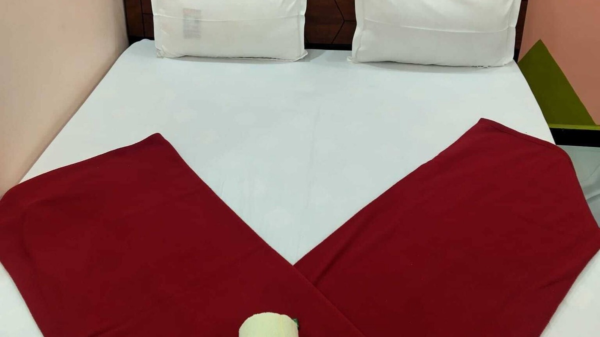 Rajpipla Hotel | Shree Keshrinanadan homestay