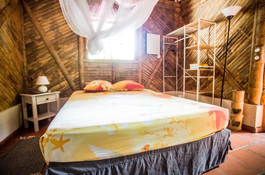 Tartane House | Shuit Bambou
