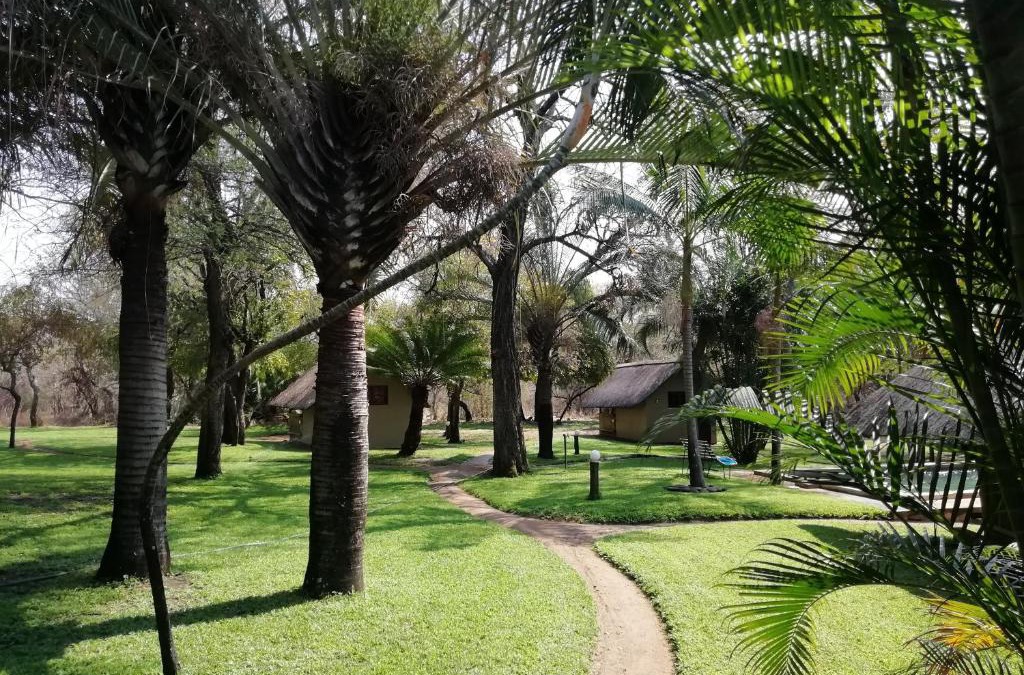 Hoedspruit Cabin | Shumba Safari Bush Camp