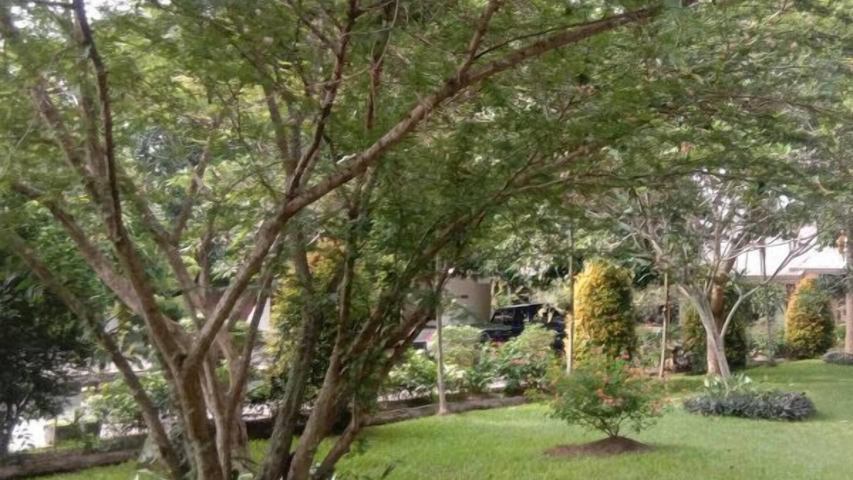 Pematangsiantar Hotel | Siantar Hotel Pematangsiantar