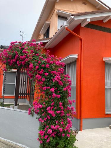 Kaga House | SIBARIAN Guest House