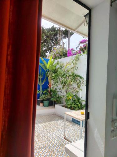 Sidi Bou Said Apartment | Sidi Bou House