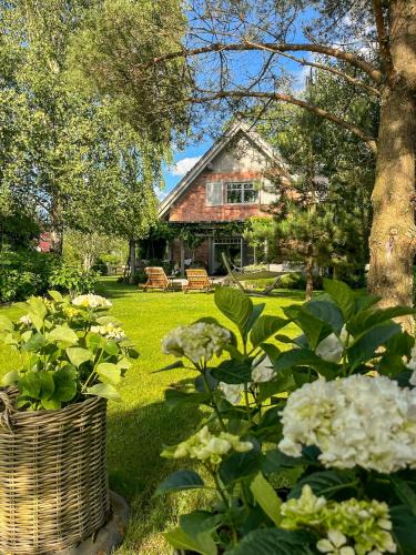 Dziemiany House | Siedlisko Belfort - Dom Wschodów