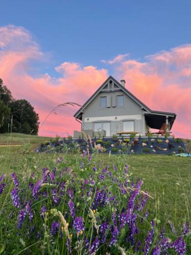 Cieciorka House | Siedlisko Dunajki