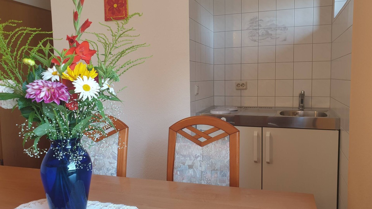 Siegmundsburg Apartment | Siegmundsburger Haus Werraquelle here Apartment "Traumwelt" family-/pet-friendly