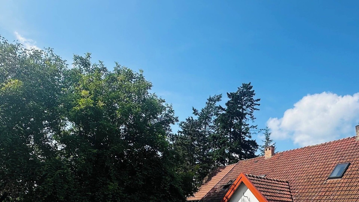 Pasym Apartment | Sielski Loft Mazury w pobliżu jezior, Elganowo, Pasym