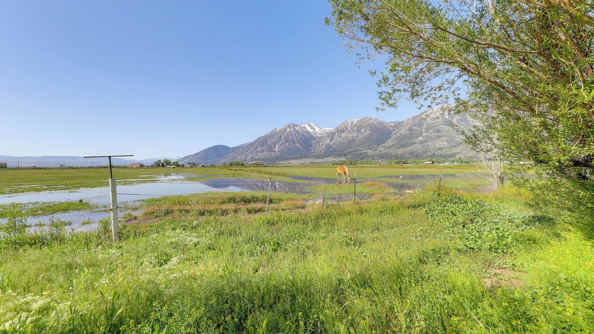 Gardnerville House | Sierra Nevada Mtn Views: Gardnerville Getaway