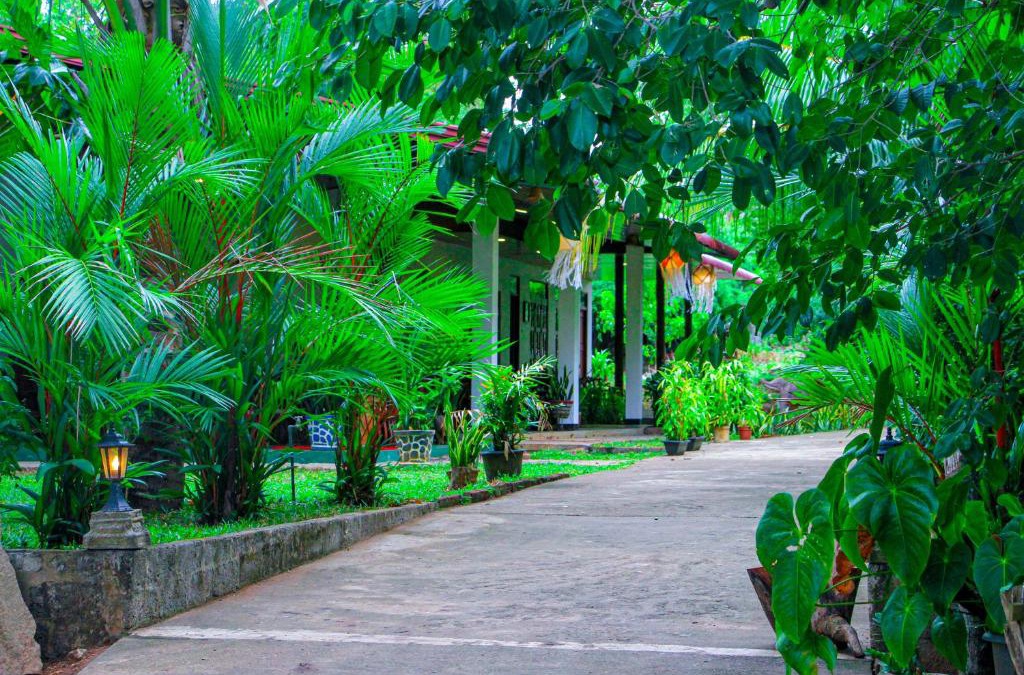 Inamaluwa House | Sigiri Nisala Villa