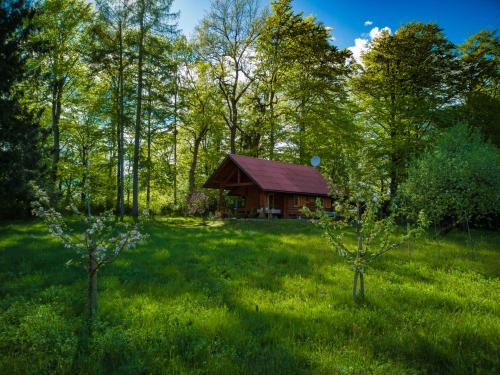 Naklo House | Silent Orchard