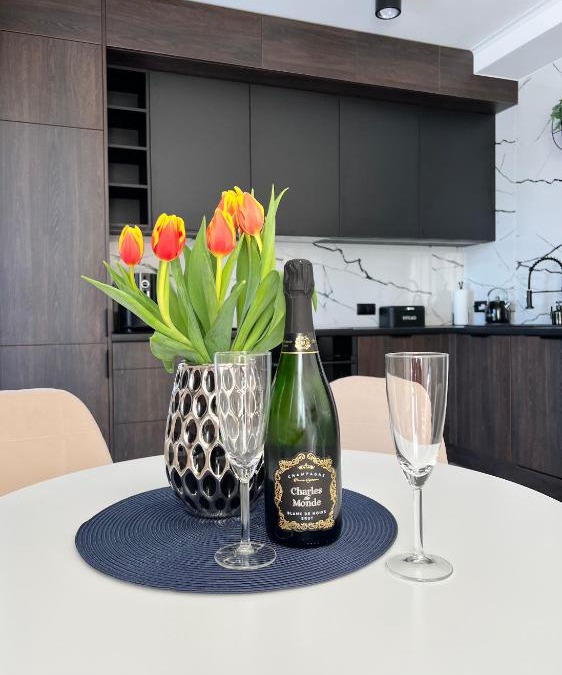 Skoczow Apartment | Silesia Apartments Ustron H125