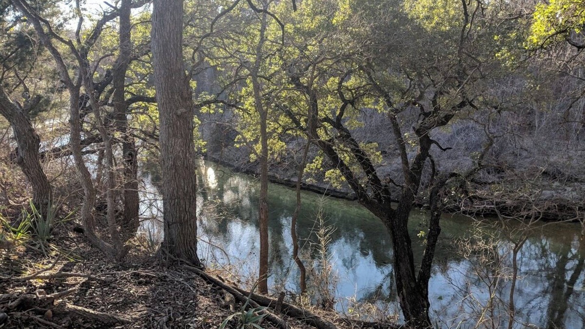 Woodway House | Silo Creek Retreat- House, 30 Acres, Private Creek - The Ultimate Nature Escape!