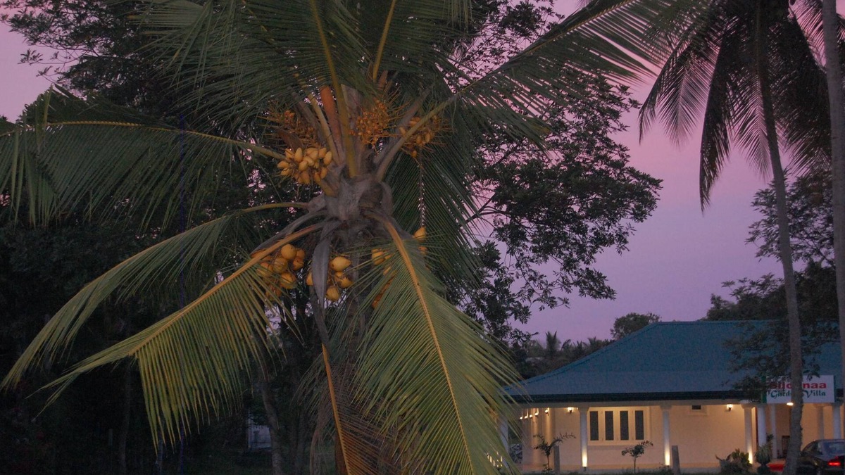 Wariyapola House | Siloonaa Garden Villa