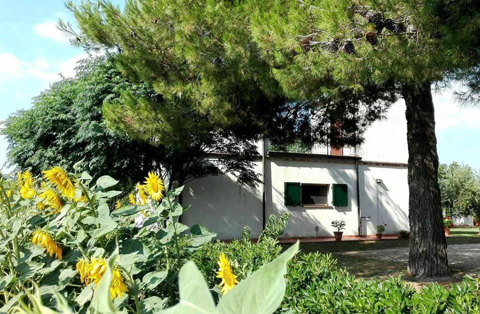 Potenza Picena House | Silos Torrenova