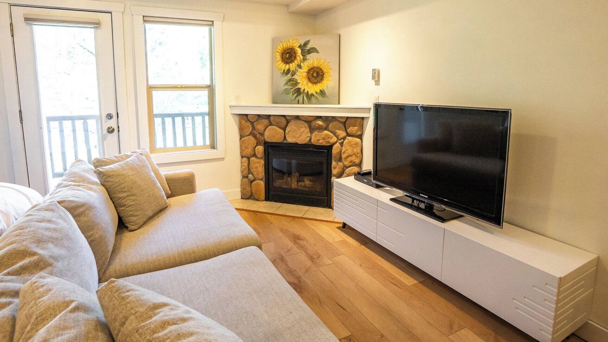 East Kootenay Apartment | Silver Rock Studio w/Queen bed