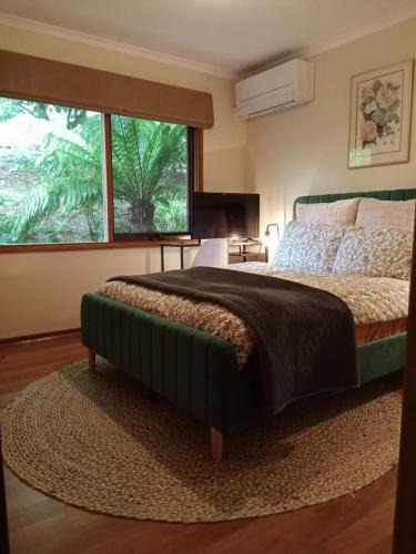 Sassafras House | Simply Sassafras - Tree Fern Suite - self-contained
