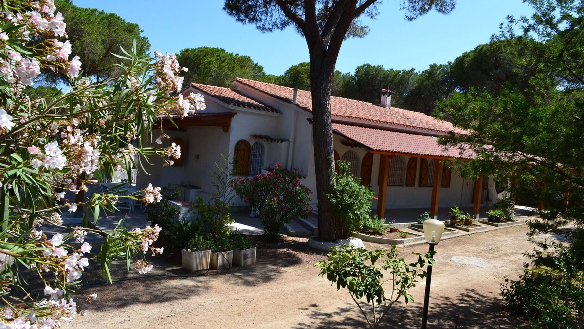 Eden Rock Villa | Single villa nestled in pine forest a few steps from the beach in Santa Margherita