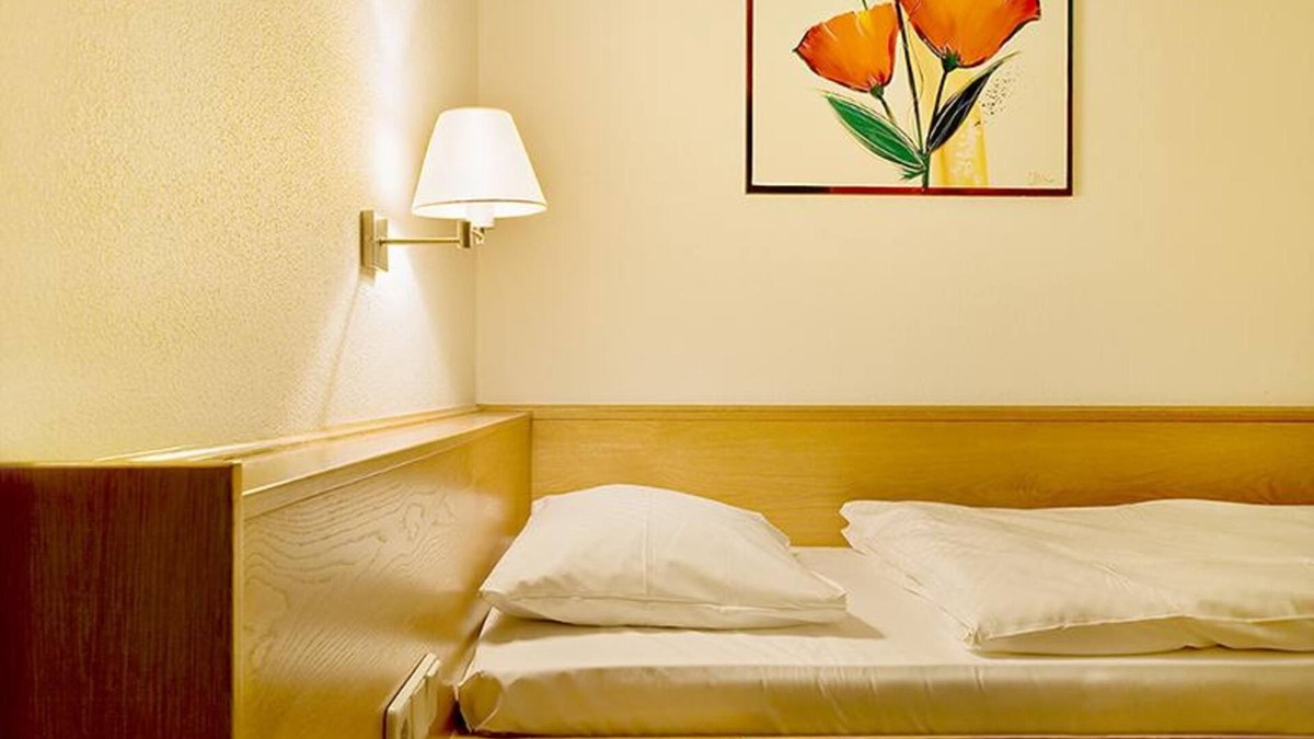 Umkirch Apartment | Single room with toilet and shower - Hotel Heuboden