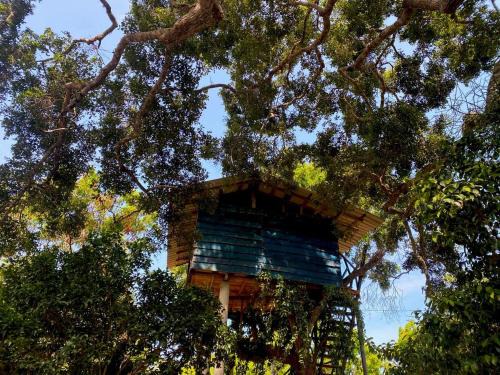 Palatupana Cabin | Single Trees Yala