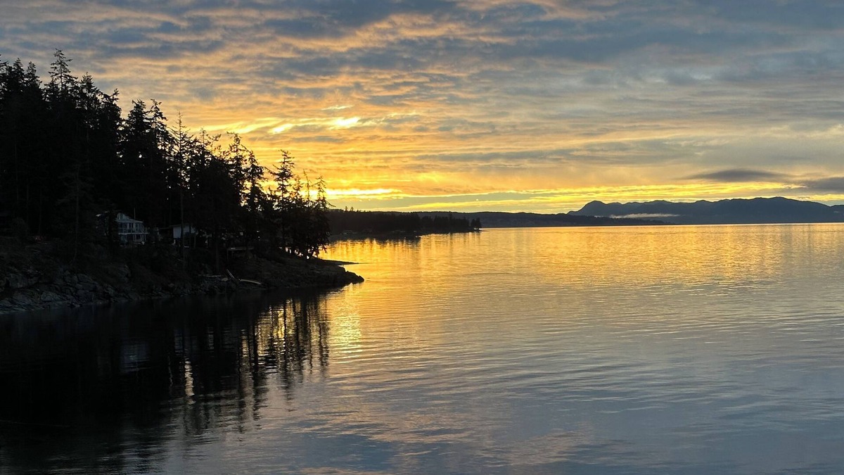 Powell River House | Sitka Suite | Oceanfront Luxury Escape | Hot Tub | Optional Sauna Add-On