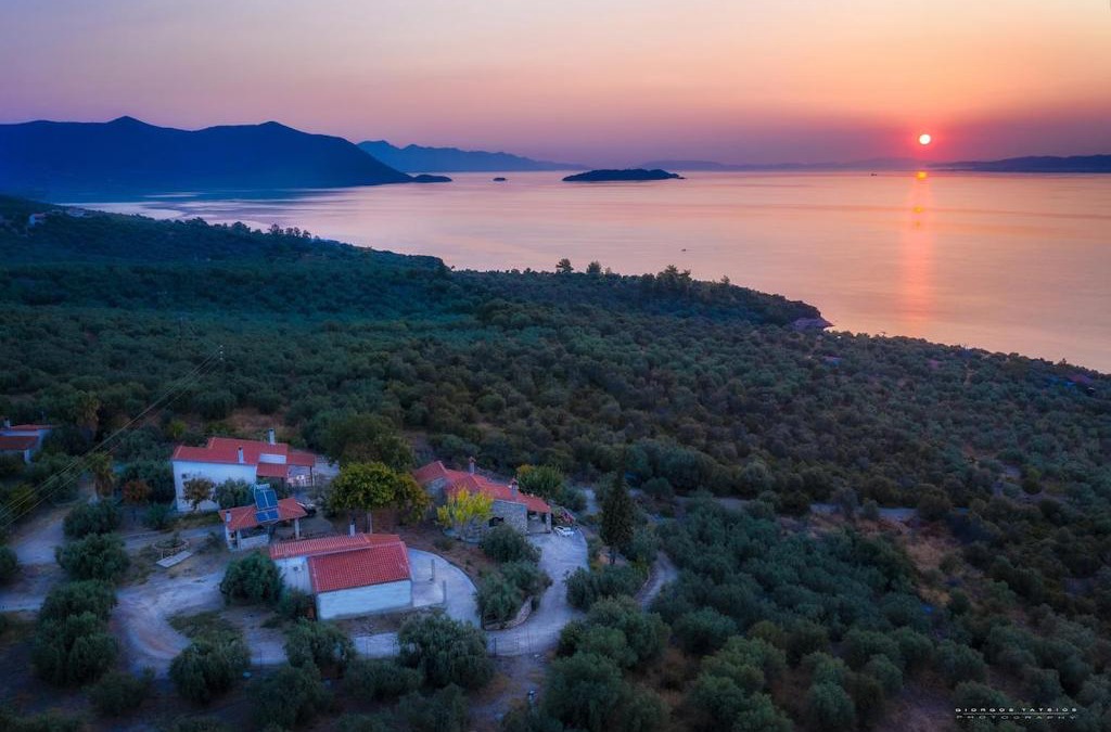 Imathia Region House | SIX INDEPENDENT HOUSES BY THE sea
