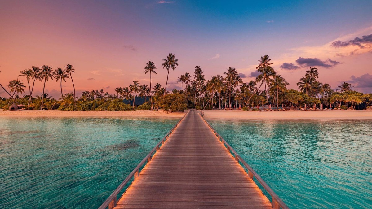 Dhigurah Hotel | Siyam World Maldives - 24-Hour Premium All-inclusive with Free Transfer