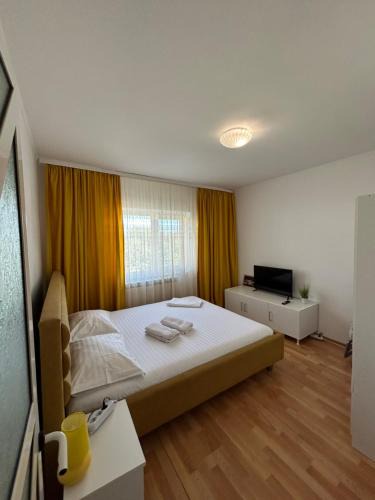 Tulcea Apartment | SJ Apartment