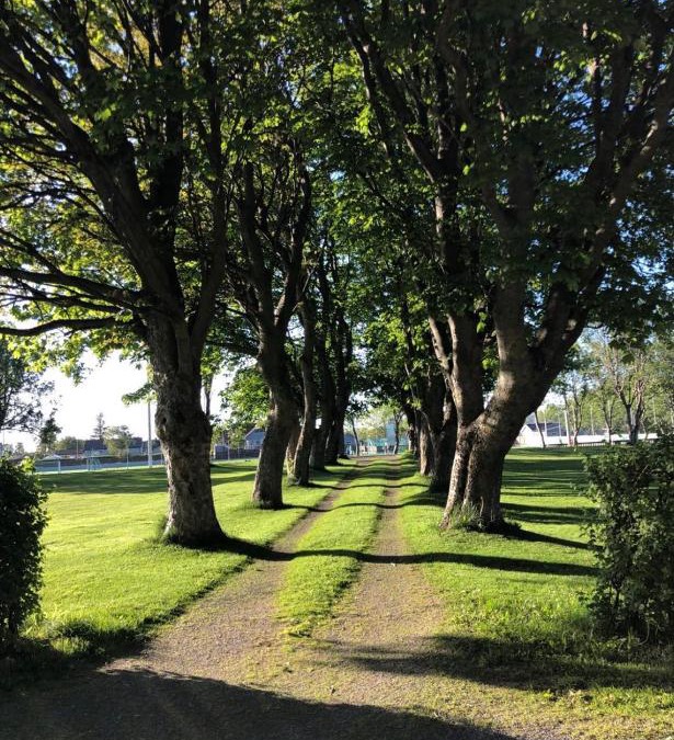 Orland Villa | Sjarmerende hus med veldig stort uteareal.