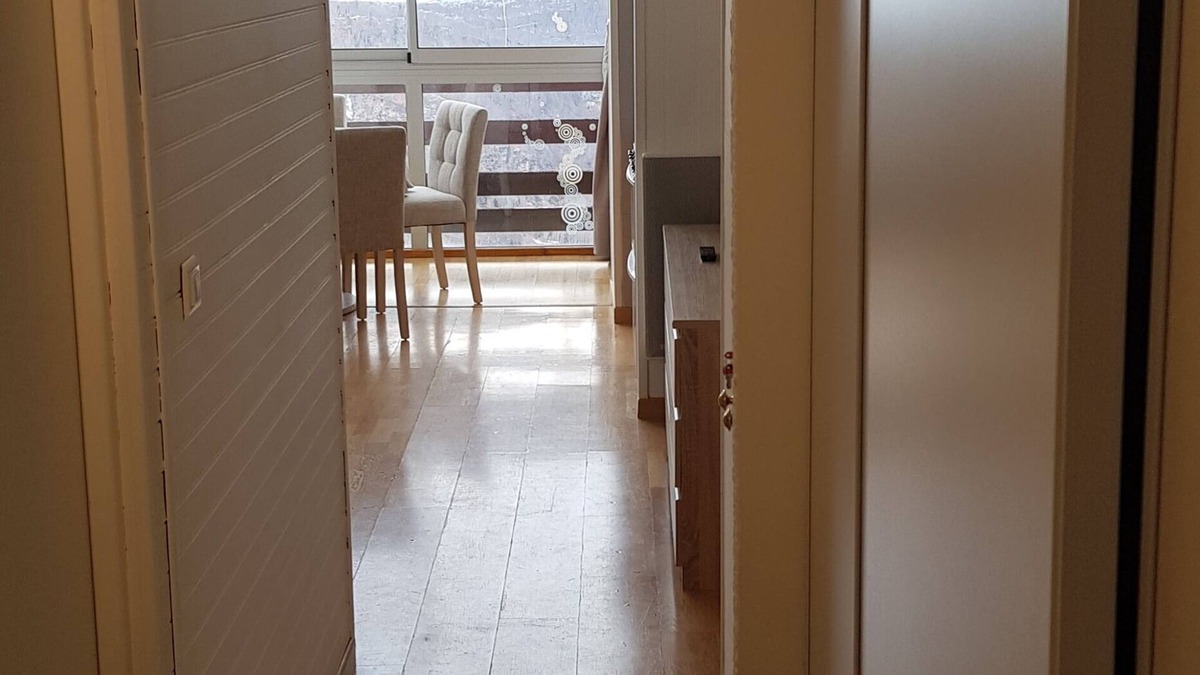 Montferrier Apartment | SKI APARTMENT AT THE FOOT OF THE SLOPES, MONTS D'OLMES (09)