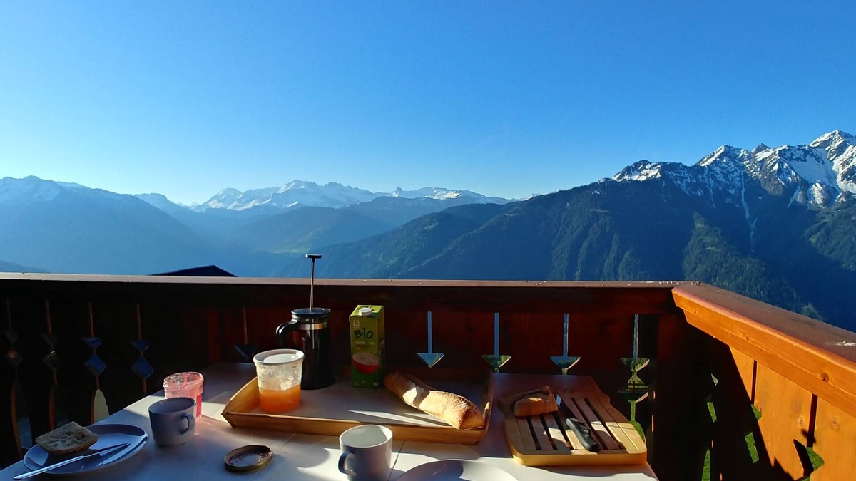 Bisanne 1500 Apartment | SKI IN SKI OUT BALCONY SOUTH WIFI DUPLEX 8-10 PEOPLE BISANNE 1500 LES SAISIES