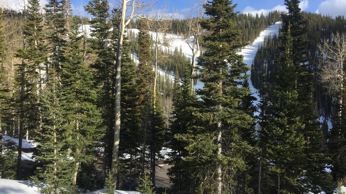 Beaver Condo | Ski-In/ski-Out At Eagle Point Ski Resort - Snowflake #12 - 1 Bedroom Condo