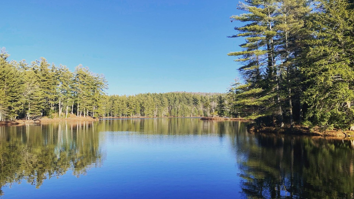 Londonderry Cottage | Ski & Lake Home-Minutes from Magic, Stratton, Bromley & Okemo-Southern Vermont