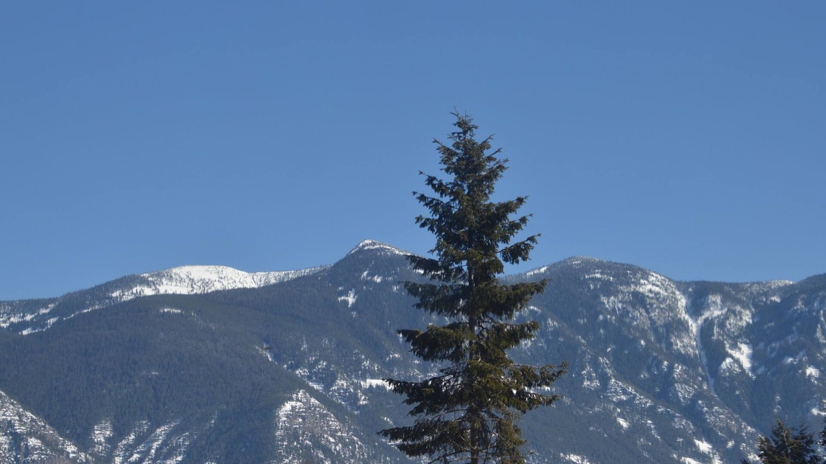 Creston Hotel | Skimmerhorn Inn