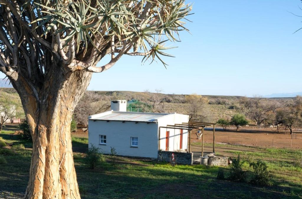 Karoo Hoogland Apartment | Skooltjie Cottage in the Tankwa Karoo