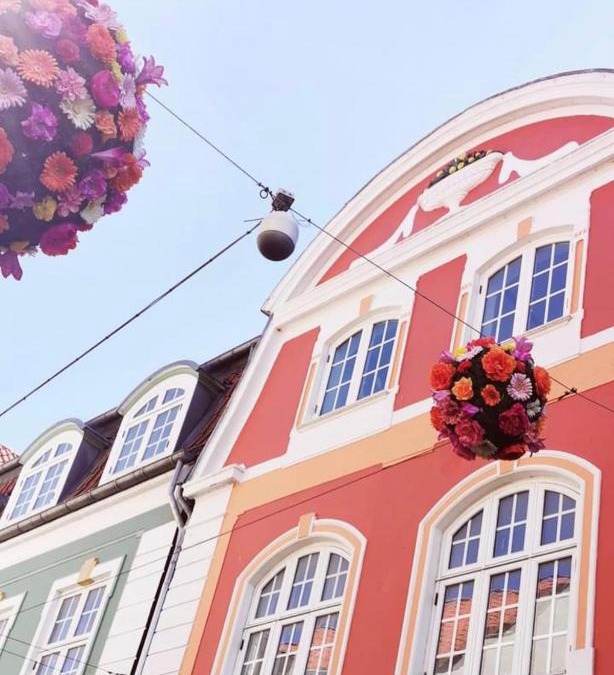 Viborg Hotel | Skuespiller Centralen