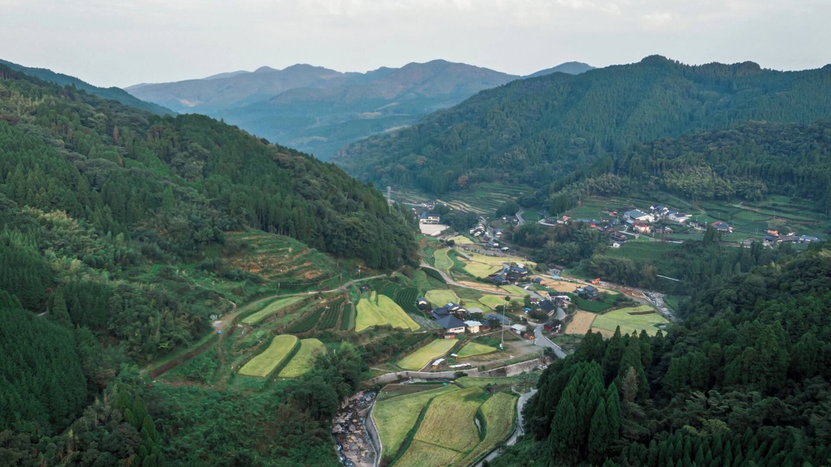 Yame Other | Sky Tea House
