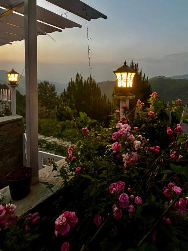 Majkhali House | Skyline Luxury Homestay