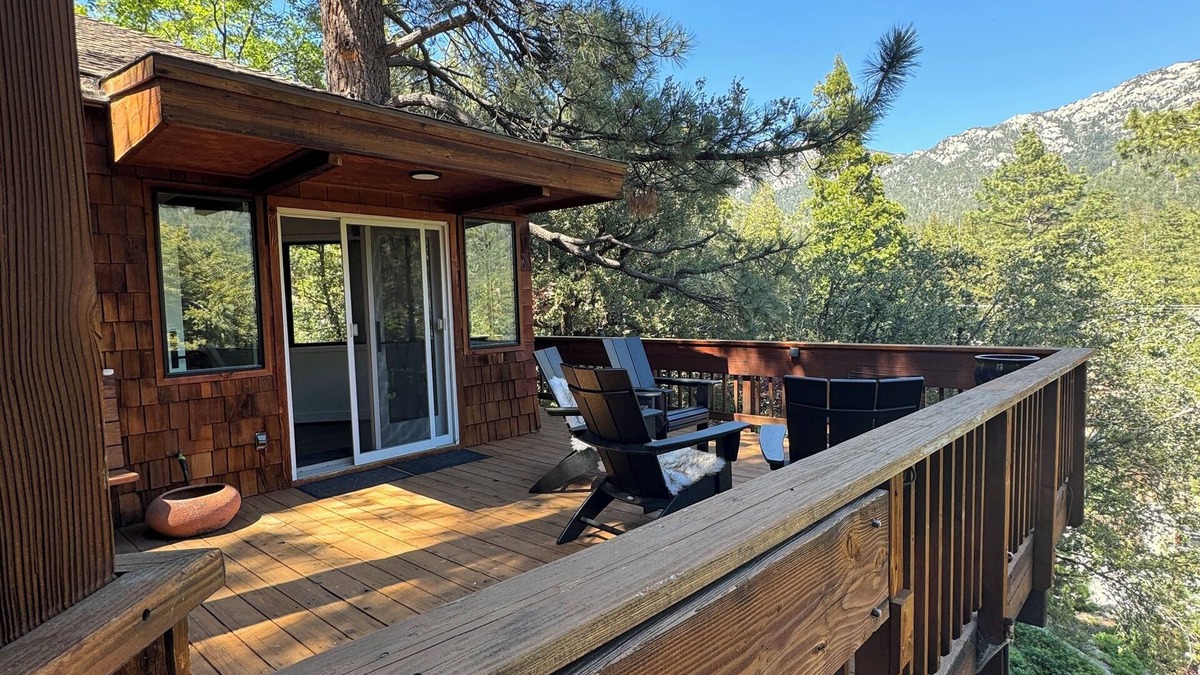 Fern Valley Cabin | Sleek & cozy treehouse cabin w/brand new bathrooms, walk to town, A+ views!