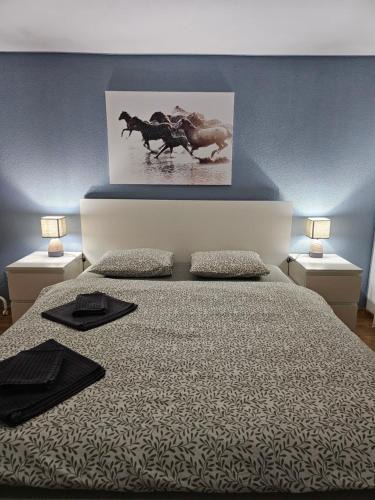 Goeschenen Apartment | Sleep here