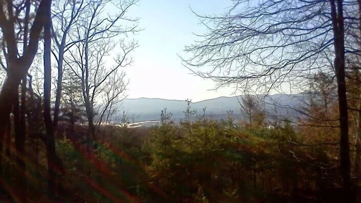 Tallassee Cabin | Sleepy Side of the Smokies