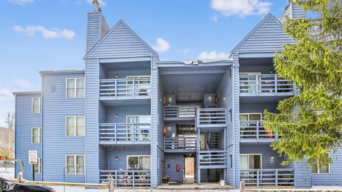 Northface Condo | Slopeside D302: 2 BR, 2 BA in Canaan Valley, Sleeps 6