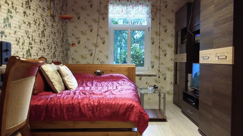 Brasa Apartment | Small and cozy studio apartment