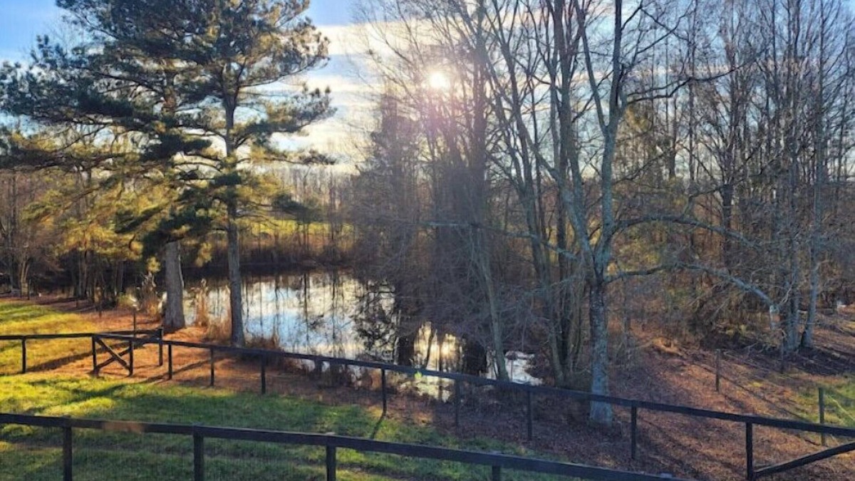 Comer House | Small Bunkhouse on Horse Farm with Pond!