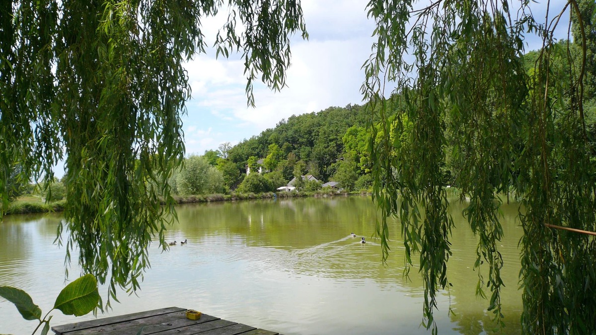 Saint-Epain Cottage | Small corner for sinners and hikers, calm relaxation in the country.