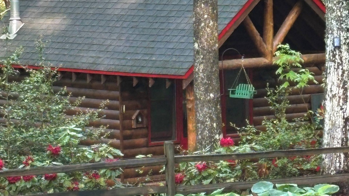 Clayton House | Small cozy log cabin sleeps two, where nature abounds near the Tallulah River
