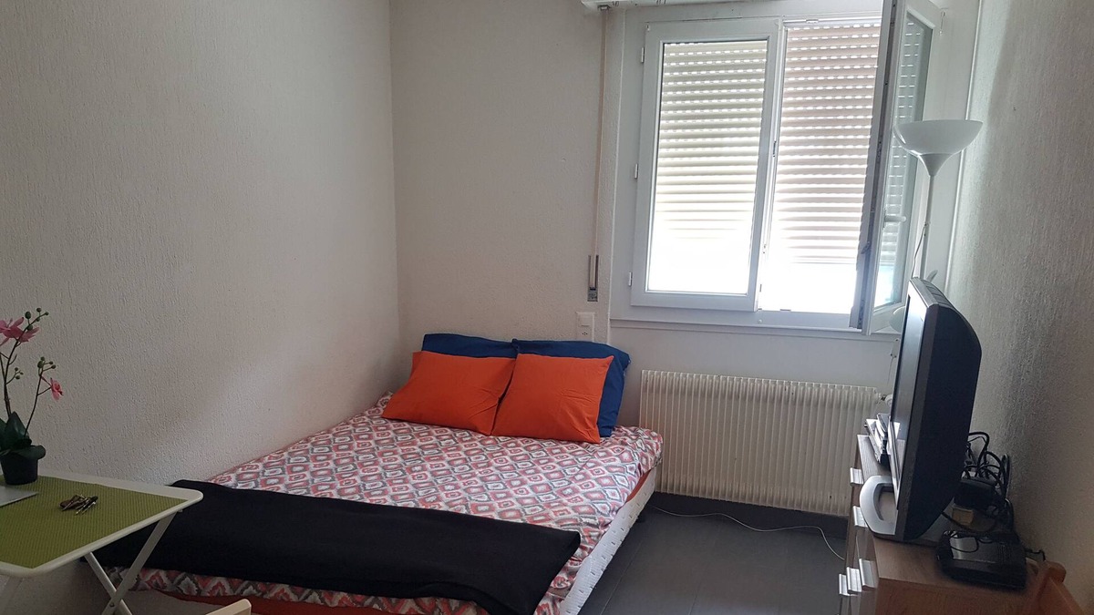 Plainpalais Apartment | Small friendly Studio, close to the center of Geneva, quiet