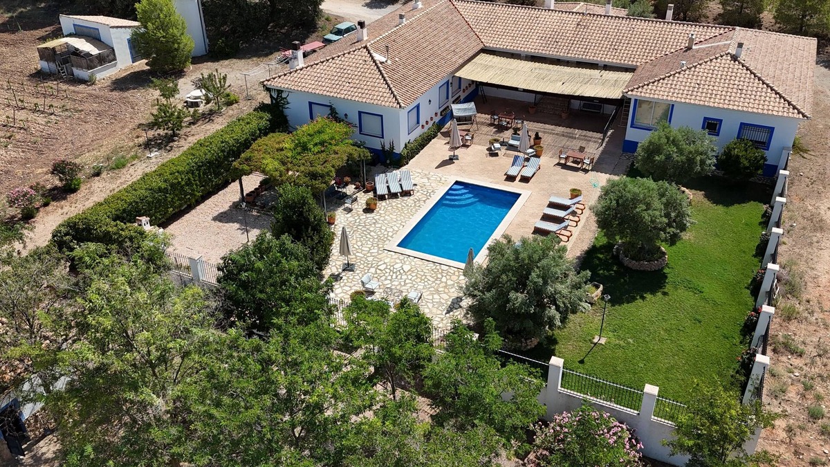 Alpera Bed & Breakfast | Small hotel among vineyards with swimming pool and fireplace, pet friendly
